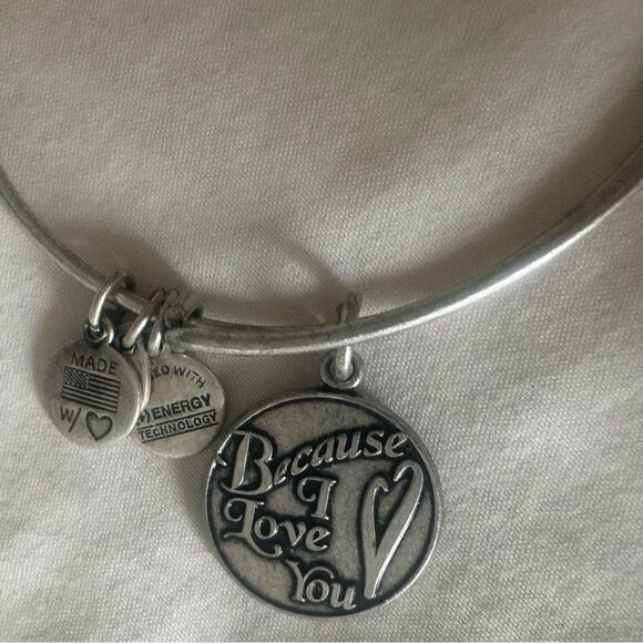 Alex and Ani "Because I Love You" Charm Bangle in Silver-Tone Brass - Picture 2 of 2